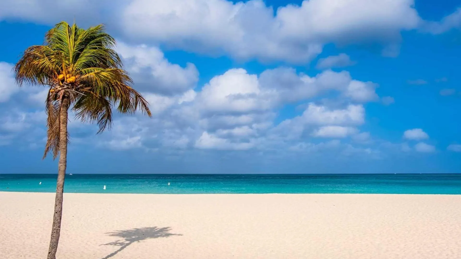 Vakantiehuis Eagle Beach - Garden Breeze 1Br Condo - Lv101 Palm Beach